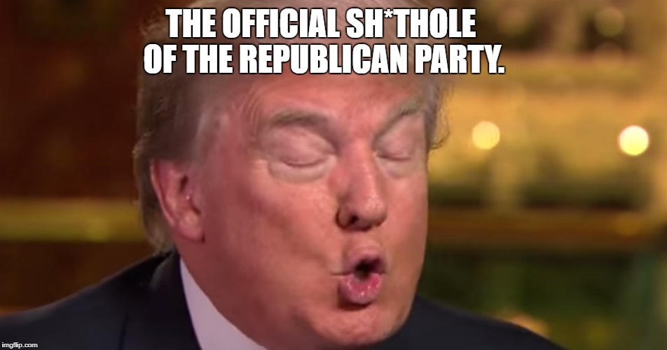 Trump "wrong" meme | THE OFFICIAL SH*THOLE OF THE REPUBLICAN PARTY. | image tagged in trump wrong meme | made w/ Imgflip meme maker
