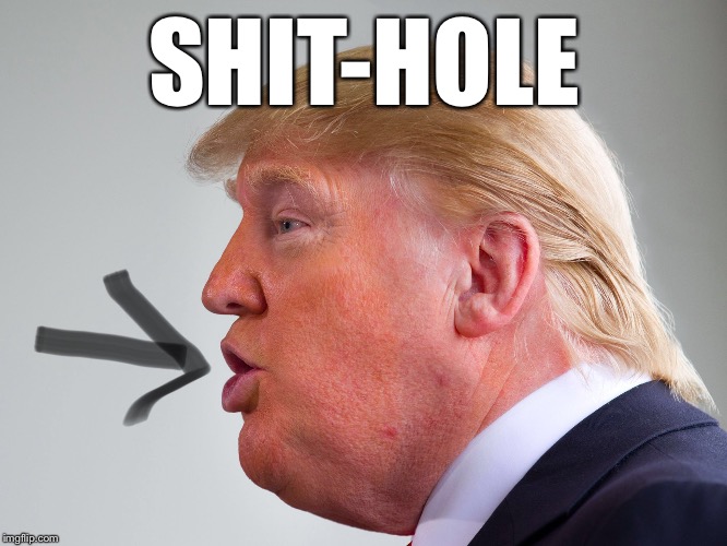 What Trump speaks | SHIT-HOLE | image tagged in trump | made w/ Imgflip meme maker