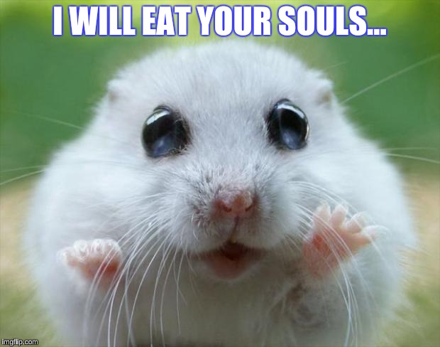 Hamster cute | I WILL EAT YOUR SOULS... | image tagged in hamster cute | made w/ Imgflip meme maker