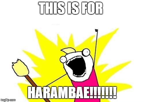 X All The Y | THIS IS FOR; HARAMBAE!!!!!!! | image tagged in memes,x all the y | made w/ Imgflip meme maker