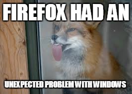 Then Chrome Met Internet Explorer   | FIREFOX HAD AN; UNEXPECTED PROBLEM WITH WINDOWS | image tagged in fox licking window | made w/ Imgflip meme maker