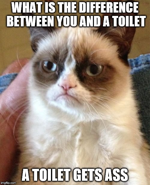 Grumpy Cat Meme | WHAT IS THE DIFFERENCE BETWEEN YOU AND A TOILET; A TOILET GETS ASS | image tagged in memes,grumpy cat | made w/ Imgflip meme maker