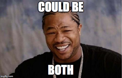 Yo Dawg Heard You Meme | COULD BE BOTH | image tagged in memes,yo dawg heard you | made w/ Imgflip meme maker