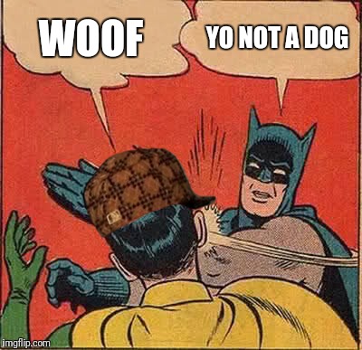 Batman Slapping Robin | WOOF; YO NOT A DOG | image tagged in memes,batman slapping robin,scumbag | made w/ Imgflip meme maker