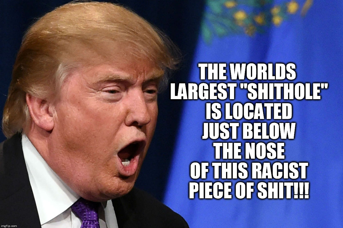 The shitheads shithole | THE WORLDS LARGEST "SHITHOLE" IS LOCATED JUST BELOW THE NOSE OF THIS RACIST PIECE OF SHIT!!! | image tagged in trump,shithead,racist | made w/ Imgflip meme maker