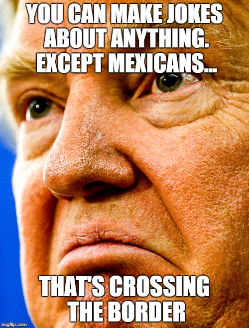 Well not until the wall is built, I guess. | YOU CAN MAKE JOKES ABOUT ANYTHING. EXCEPT MEXICANS... THAT'S CROSSING THE BORDER | image tagged in memes,funny memes,donald trump,mexican wall | made w/ Imgflip meme maker
