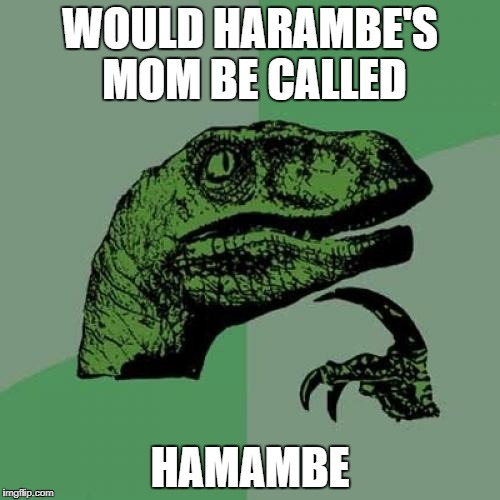 Philosoraptor Meme | WOULD HARAMBE'S MOM BE CALLED; HAMAMBE | image tagged in memes,philosoraptor | made w/ Imgflip meme maker