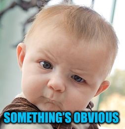 Skeptical Baby Meme | SOMETHING’S OBVIOUS | image tagged in memes,skeptical baby | made w/ Imgflip meme maker