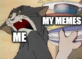 MY MEMES; ME | made w/ Imgflip meme maker