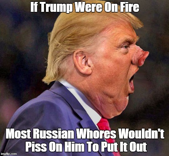 "If Trump Were On Fire, Russian Whores..." | If Trump Were On Fire Most Russian W**res Wouldn't Piss On Him To Put It Out | image tagged in deplorable donald,despicable donald,devious donald,dishonorable donald,deceitful donald,dishonest donald | made w/ Imgflip meme maker