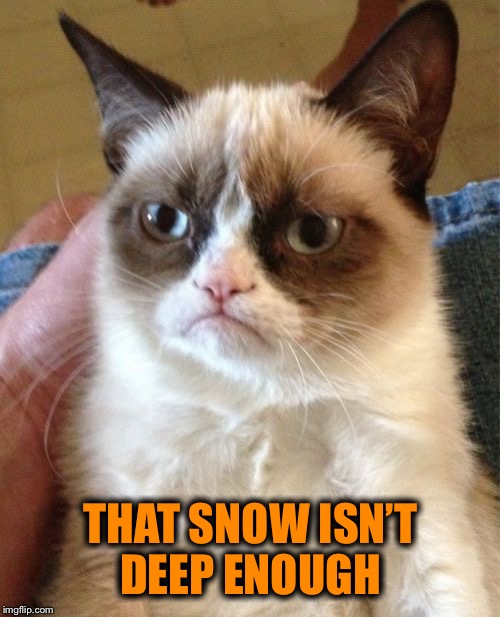 Grumpy Cat Meme | THAT SNOW ISN’T DEEP ENOUGH | image tagged in memes,grumpy cat | made w/ Imgflip meme maker