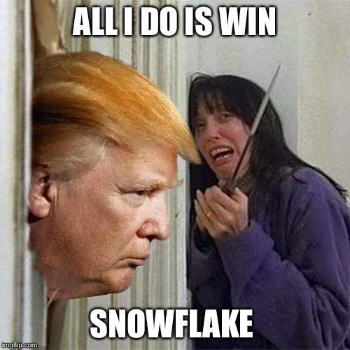All I Do Is Win! | ALL I DO IS WIN; SNOWFLAKE | image tagged in donald trump here's donny | made w/ Imgflip meme maker