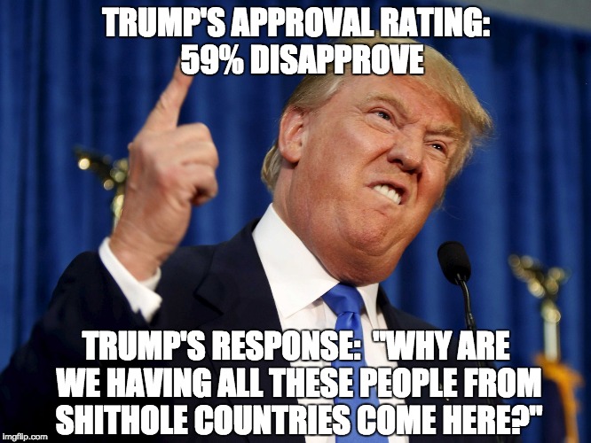 TRUMP'S APPROVAL RATING:  59% DISAPPROVE; TRUMP'S RESPONSE:  "WHY ARE WE HAVING ALL THESE PEOPLE FROM SHITHOLE COUNTRIES COME HERE?" | image tagged in donald trump | made w/ Imgflip meme maker