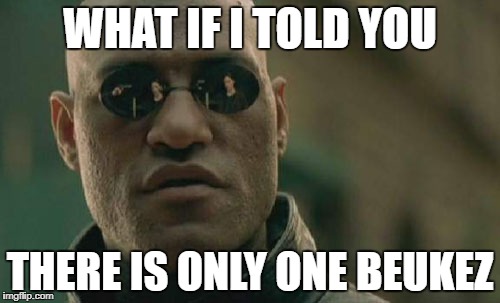 Beukez | WHAT IF I TOLD YOU; THERE IS ONLY ONE BEUKEZ | image tagged in memes,matrix morpheus | made w/ Imgflip meme maker