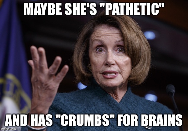 Good old Nancy Pelosi | MAYBE SHE'S "PATHETIC"; AND HAS "CRUMBS" FOR BRAINS | image tagged in good old nancy pelosi | made w/ Imgflip meme maker