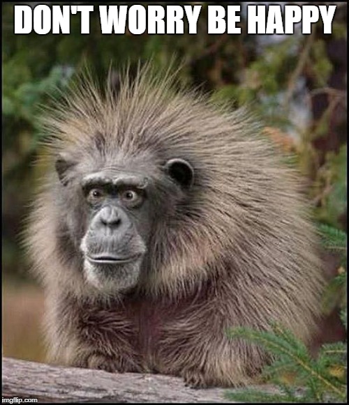 DON'T WORRY BE HAPPY | image tagged in scared monkey | made w/ Imgflip meme maker