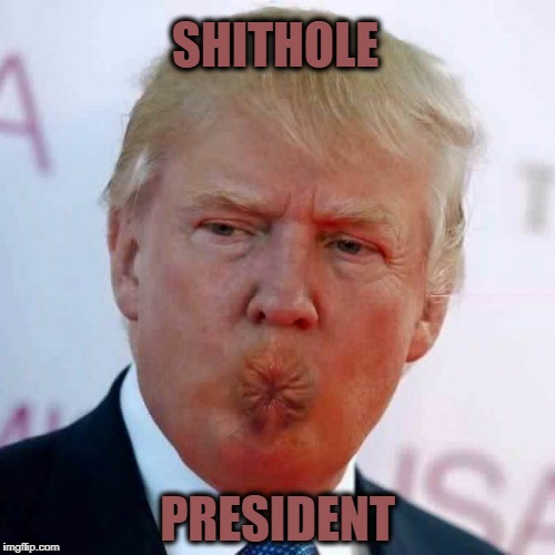 Shithole President - Imgflip