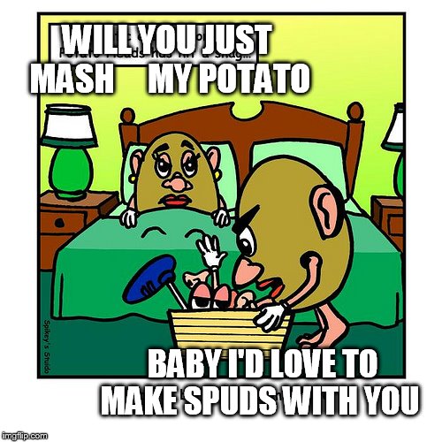 WILL YOU JUST  MASH



 MY POTATO BABY I'D LOVE TO MAKE SPUDS WITH YOU | made w/ Imgflip meme maker