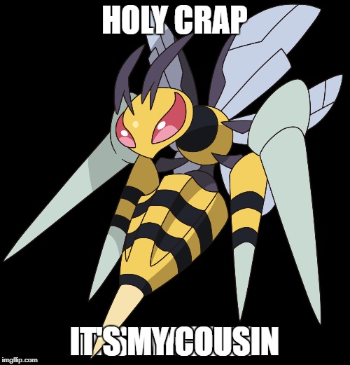 HOLY CRAP IT'S MY COUSIN | made w/ Imgflip meme maker