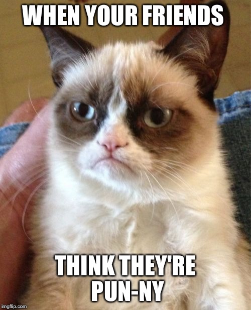 Grumpy Cat | WHEN YOUR FRIENDS; THINK THEY'RE PUN-NY | image tagged in memes,grumpy cat | made w/ Imgflip meme maker