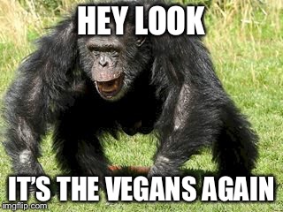 Mocking Chimp | HEY LOOK; IT’S THE VEGANS AGAIN | image tagged in chimpanzee,vegan,mocking | made w/ Imgflip meme maker