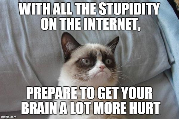 WITH ALL THE STUPIDITY ON THE INTERNET, PREPARE TO GET YOUR BRAIN A LOT MORE HURT | made w/ Imgflip meme maker
