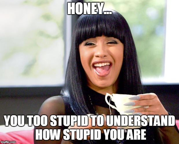 Honey... | HONEY... YOU TOO STUPID TO UNDERSTAND HOW STUPID YOU ARE | image tagged in stupid,cardi b,tea | made w/ Imgflip meme maker