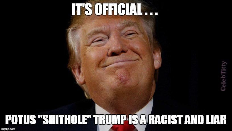 Shithole Trump | image tagged in trump,shithole,shithole trump,lying trump | made w/ Imgflip meme maker