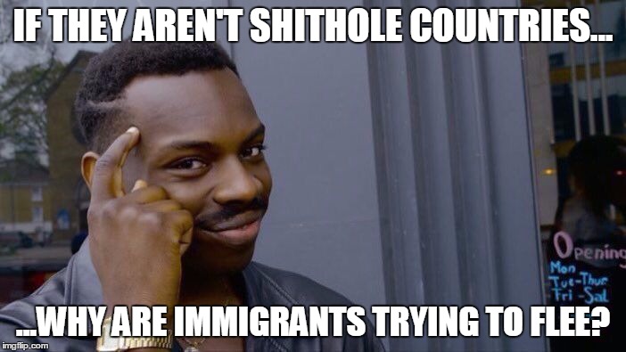 Roll Safe Think About It | IF THEY AREN'T SHITHOLE COUNTRIES... ...WHY ARE IMMIGRANTS TRYING TO FLEE? | image tagged in memes,roll safe think about it | made w/ Imgflip meme maker