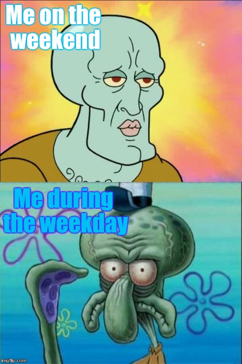 It's not fun going to school | Me on the weekend; Me during the weekday | image tagged in memes,squidward | made w/ Imgflip meme maker