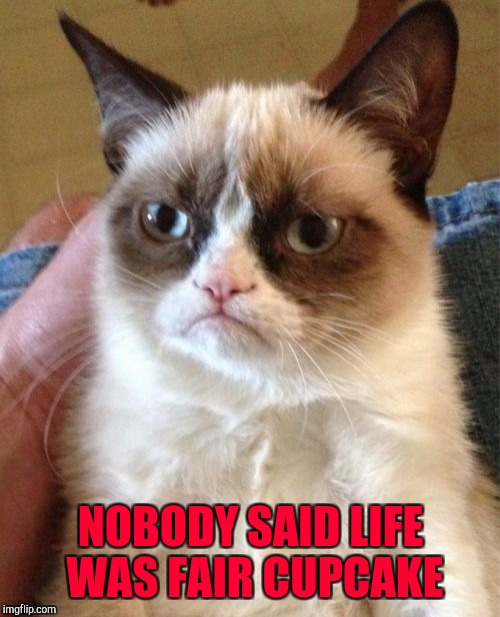 Grumpy Cat Meme | NOBODY SAID LIFE WAS FAIR CUPCAKE | image tagged in memes,grumpy cat | made w/ Imgflip meme maker