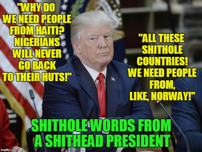 I don't think Norwegians want to be led by a fool, Mr. 'President' | "WHY DO WE NEED PEOPLE FROM HAITI? NIGERIANS WILL NEVER GO BACK TO THEIR HUTS!"; "ALL THESE SHITHOLE COUNTRIES! WE NEED PEOPLE FROM, LIKE, NORWAY!"; SHITHOLE WORDS FROM A SHITHEAD PRESIDENT | image tagged in memes,trump,politics,immigration,racism | made w/ Imgflip meme maker