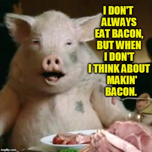 The Most Interesting Pig in the World | I DON'T ALWAYS EAT BACON, BUT WHEN I DON'T I THINK ABOUT    MAKIN'   BACON. | image tagged in vince vance,pigs,bacon,bacon meme,pig eating ham,ironic | made w/ Imgflip meme maker