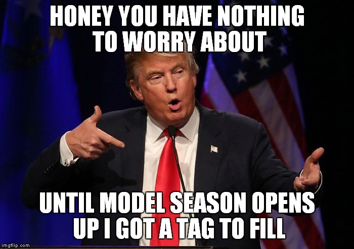 HONEY YOU HAVE NOTHING TO WORRY ABOUT UNTIL MODEL SEASON OPENS UP I GOT A TAG TO FILL | made w/ Imgflip meme maker