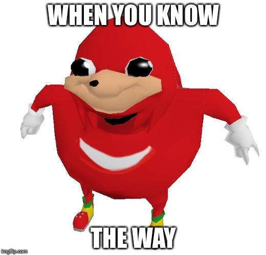 WHEN YOU KNOW; THE WAY | image tagged in knuckles | made w/ Imgflip meme maker