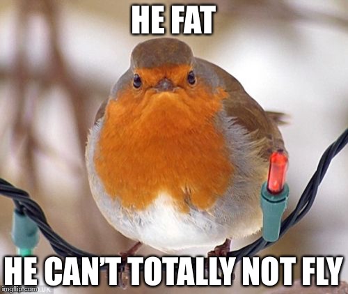 Bah Humbug Meme | HE FAT; HE CAN’T TOTALLY NOT FLY | image tagged in memes,bah humbug | made w/ Imgflip meme maker