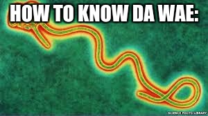 ebola | HOW TO KNOW DA WAE: | image tagged in ebola | made w/ Imgflip meme maker