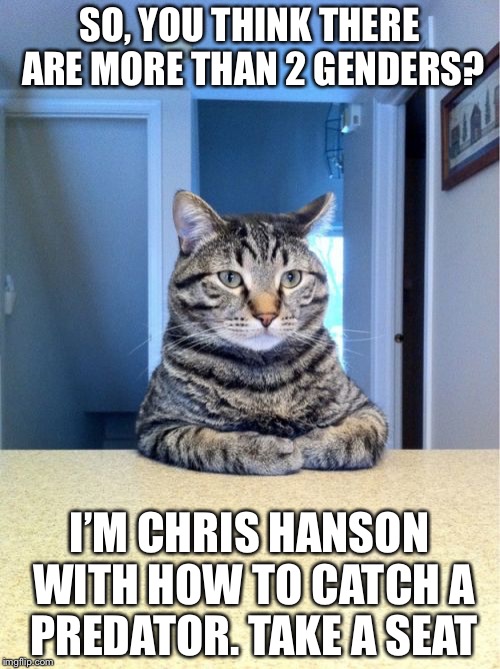Take A Seat Cat Meme | SO, YOU THINK THERE ARE MORE THAN 2 GENDERS? I’M CHRIS HANSON WITH HOW TO CATCH A PREDATOR. TAKE A SEAT | image tagged in memes,take a seat cat | made w/ Imgflip meme maker