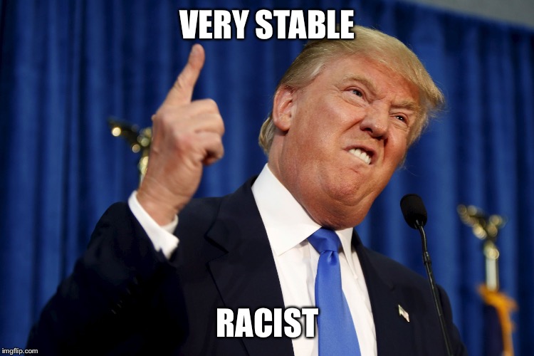 VERY STABLE; RACIST | image tagged in trumpf | made w/ Imgflip meme maker