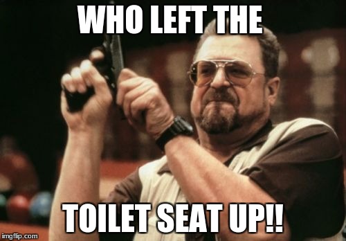 Am I The Only One Around Here | WHO LEFT THE; TOILET SEAT UP!! | image tagged in memes,am i the only one around here | made w/ Imgflip meme maker