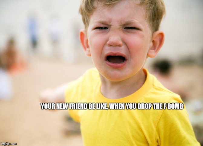 dem be like memes | YOUR NEW FRIEND BE LIKE, WHEN YOU DROP THE F BOMB | image tagged in funny,memes | made w/ Imgflip meme maker