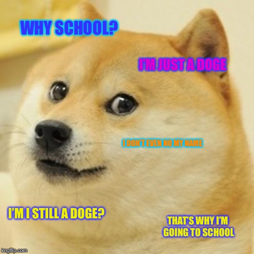 Doge | WHY SCHOOL? I’M JUST A DOGE; I DON’T EVEN NO MY NAME; I’M I STILL A DOGE? THAT’S WHY I’M GOING TO SCHOOL | image tagged in memes,doge | made w/ Imgflip meme maker