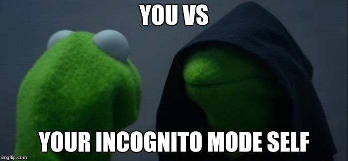 Evil Kermit Meme | YOU VS; YOUR INCOGNITO MODE SELF | image tagged in memes,evil kermit | made w/ Imgflip meme maker