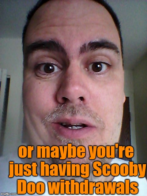 or maybe you're just having Scooby Doo withdrawals | image tagged in zafnloodls | made w/ Imgflip meme maker