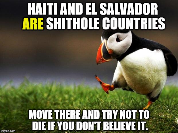 Unpopular Opinion Puffin | ARE; HAITI AND EL SALVADOR ARE SHITHOLE COUNTRIES; MOVE THERE AND TRY NOT TO DIE IF YOU DON'T BELIEVE IT. | image tagged in unpopular opinion puffin,trump,donald trump,donald trump approves | made w/ Imgflip meme maker