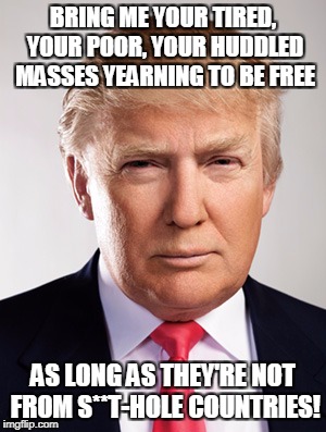 Donald Trump | BRING ME YOUR TIRED, YOUR POOR, YOUR HUDDLED MASSES YEARNING TO BE FREE; AS LONG AS THEY'RE NOT FROM S**T-HOLE COUNTRIES! | image tagged in donald trump | made w/ Imgflip meme maker