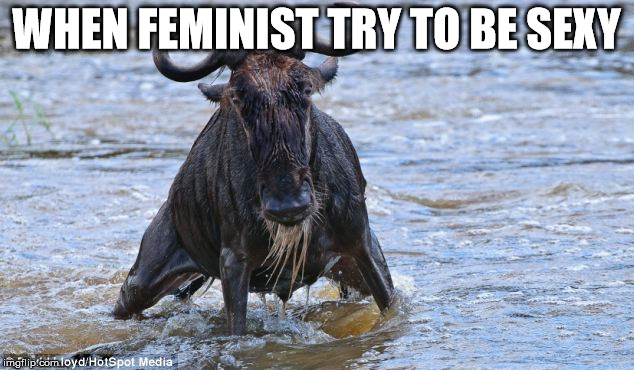 WHEN FEMINIST TRY TO BE SEXY | image tagged in feminism,feminism is cancer,ugly,wildebeest,funny,funny meme | made w/ Imgflip meme maker