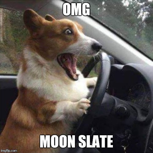 Excited Dog | OMG; MOON SLATE | image tagged in excited dog | made w/ Imgflip meme maker