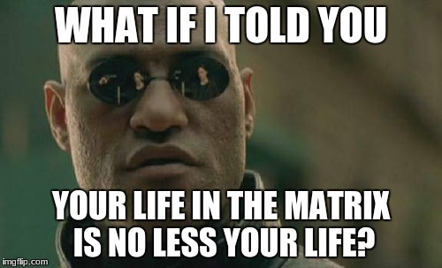 Matrix Morpheus Meme | WHAT IF I TOLD YOU; YOUR LIFE IN THE MATRIX IS NO LESS YOUR LIFE? | image tagged in memes,matrix morpheus | made w/ Imgflip meme maker