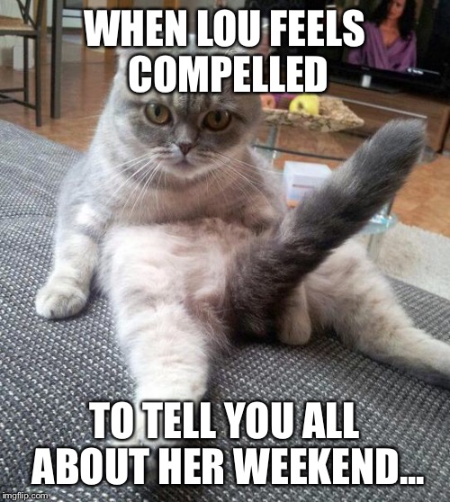 Sexy cat | WHEN LOU FEELS COMPELLED; TO TELL YOU ALL ABOUT HER WEEKEND... | image tagged in sexy cat | made w/ Imgflip meme maker